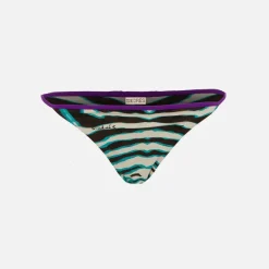 Andy Bikini Bottom