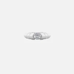 Arris Ring