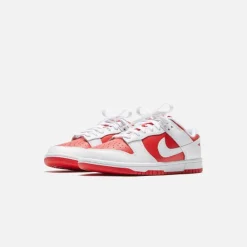 Dunk Low Retro