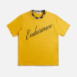 Endurance Tee