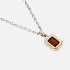 Equinox Charm Necklace In Silver And Yellow Gold With Garnet