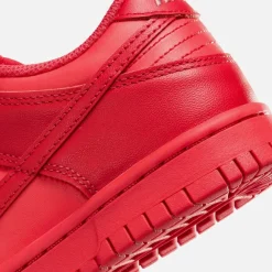 Gs Dunk Low