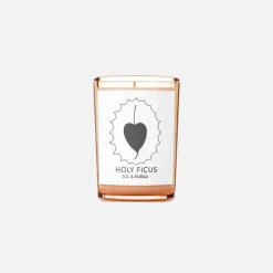 Holy Ficus Candle