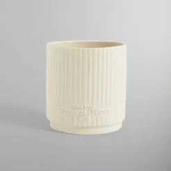 Kith For New York Botanical Garden Planter