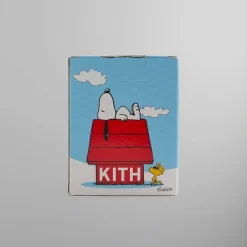 Kith For Peanuts Piggybank