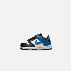 Td Dunk Low